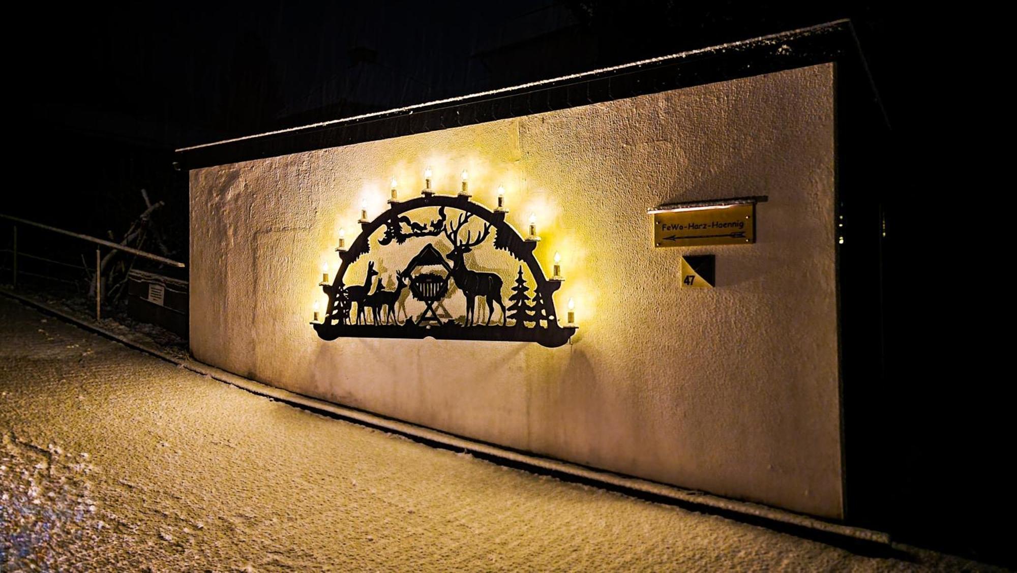 Fewo Harz Haennig 1 Wieda Exterior photo