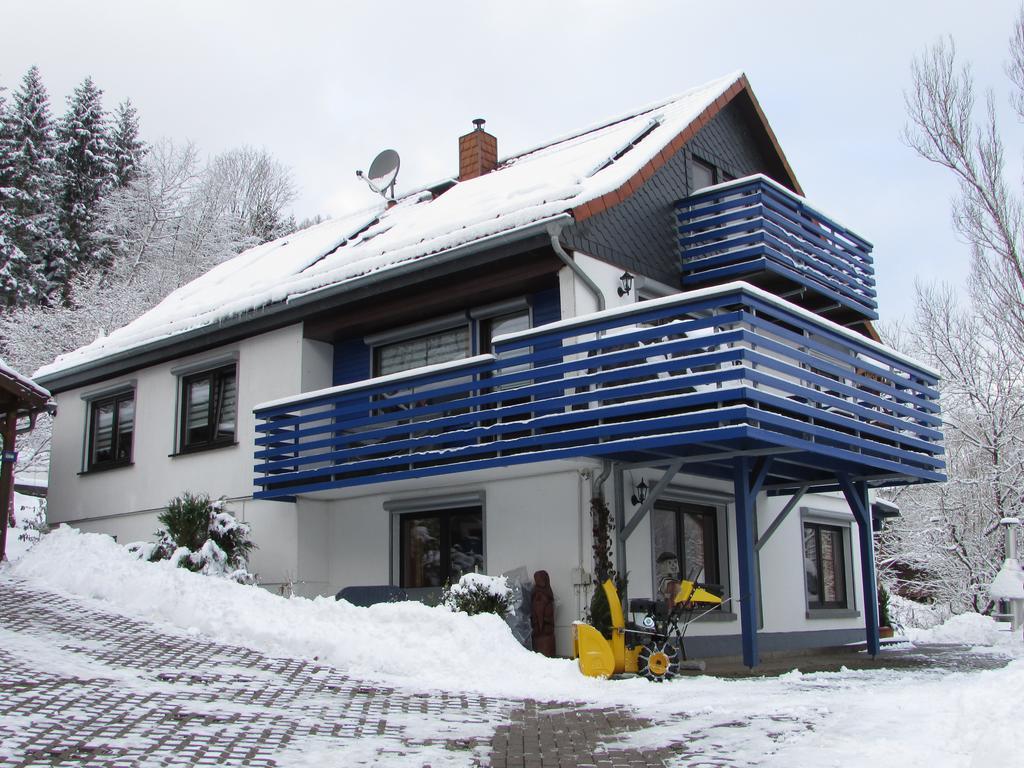 Fewo Harz Haennig 1 Wieda Exterior photo