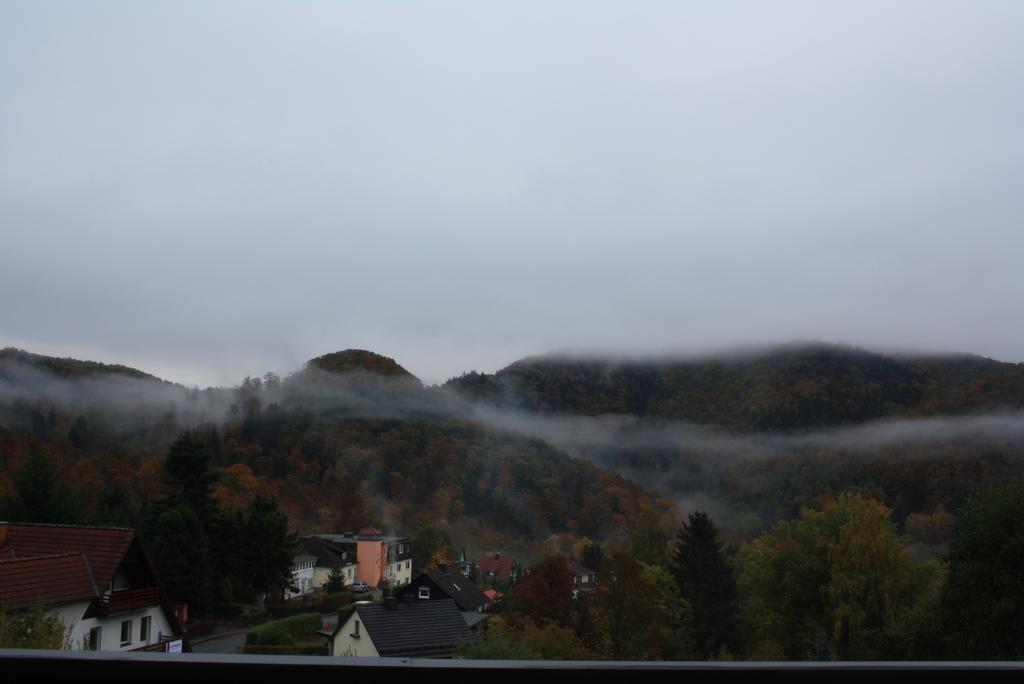 Fewo Harz Haennig 1 Wieda Exterior photo